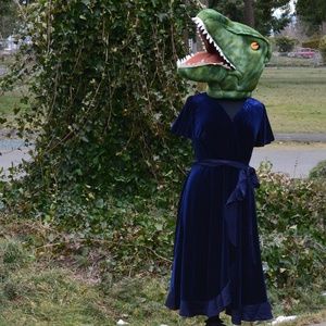 lane bryant blue velvet dress